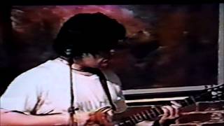 Honey Radar - Roughing Up the Painter