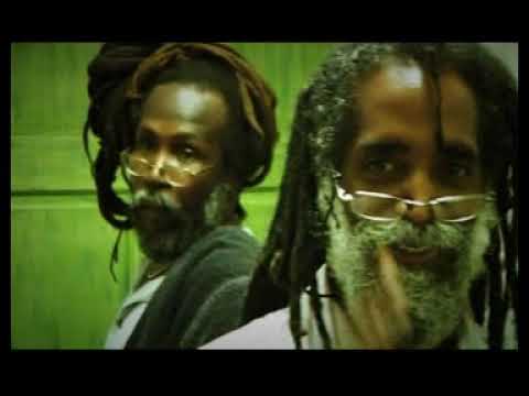 AMO Pre Vlastnych remix feat Pad Anthony (reggae)