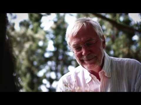 Der innere Ruf - Teaser