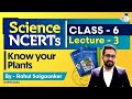 NCERT Science Series Class 6 Part 3 Know Your Plants UPSC IAS StudyIQ IAS