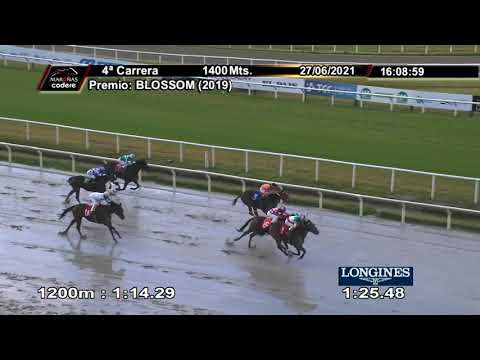 210627 c04 RUBIA DE MORA