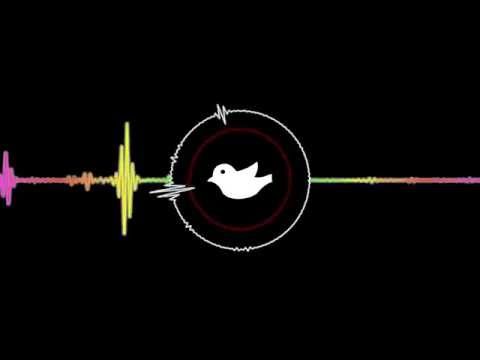You May Live On Earth - Saywecanfly