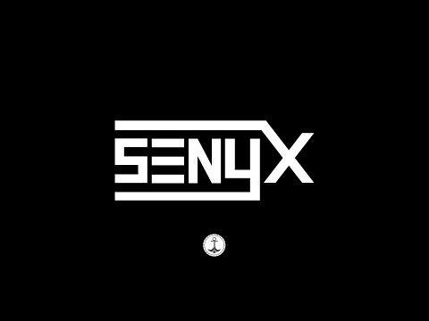 SENYX - SET BRAZILIAN BASS - VINNE, VINTAGE CULTURE & DUBDOGZ #NOVEMBRO 2018