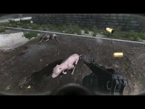 Why Stalker is making me hate dogs in Stalker Gamma #stalker2 #stalker #anomaly #stalkeranomaly #fps