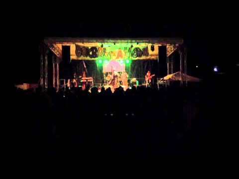 Michael Prophet & The Roots Defender live @ cerebration fest 5 Padova