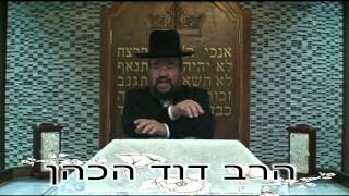 פרשת ויחי – אחוות אחים