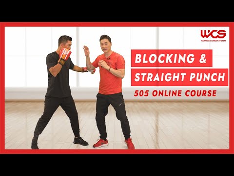 Blocking and Straight punch - DK Yoo