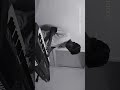 Sillunu Oru Kadhal Bgm A R Rahman Instrumental