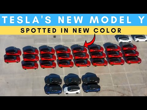 New Model Y Spotted In New Color At Giga Texas & More Updates!