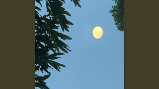 Your love will kill me