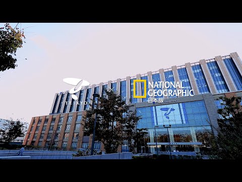 日本文化学科 【帝京大学 ✕ ナショジオ コラボ動画】医学部内科学講座 河野肇 教授の研究紹介「Danger signal」と炎症の関係を解明して動脈硬化の新たな治療戦略に生かす