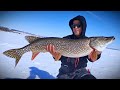 Video Thumbnail for New Ice PB Northern Pike on iFish Pro TipUp | March Madness!!