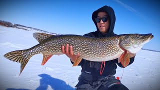 New Ice PB Northern Pike on iFish Pro TipUp | March Madness!!