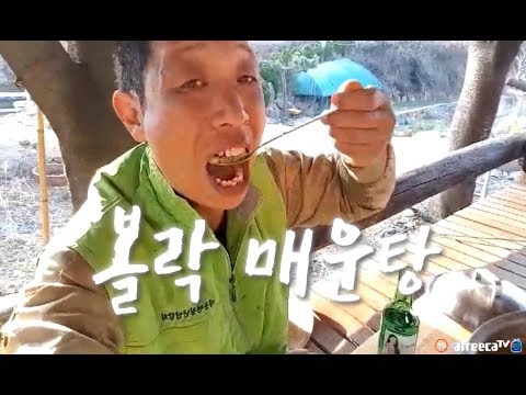 , title : '볼락 매운탕 & 해장술♥ [Rockfish Spicy Stew Mukbang, 매운탕 레시피, 자연인]'