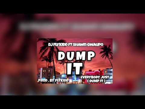 DJ FLYKIDD - DUMP IT Ft Shawn Gwaupo FMOIG @thaareal.flykidd