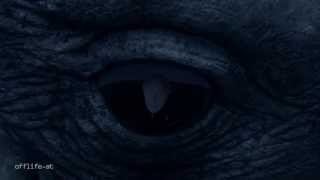 Marsimoto - blaue Lagune (offlife powered)