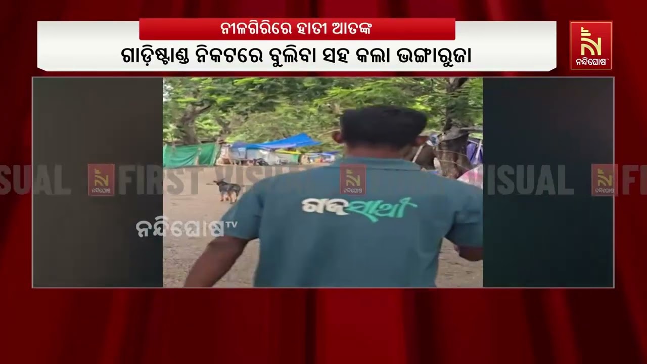 ନୀଳଗିରିରେ ହାତୀ ଆତଙ୍କ; ପଞ୍ଚଲିଙ୍ଗେଶ୍ଵର ବିଟରେ ଭାଙ୍ଗିଲ?