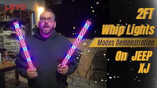 Torch Whip Lights