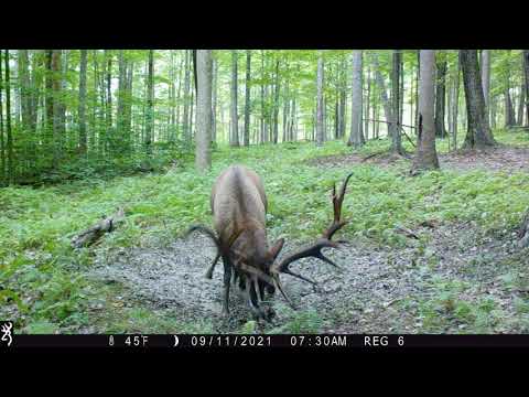 2021 Video Contest - Russell Gleixner, Pennsylvania