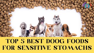 ✅Top 5 Highly Recommended Dog Foods for Dogs with Sensitive 