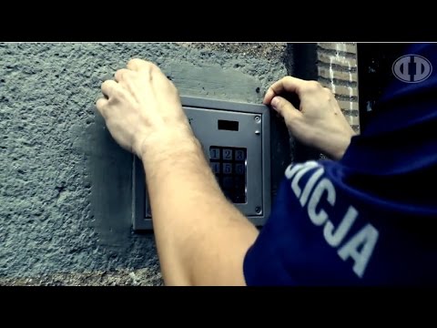 Policja 