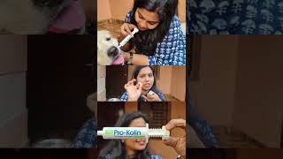 How to use pro-kolin after parvo virus recovery | first time in youtube | #youtubeshorts #doghealth
