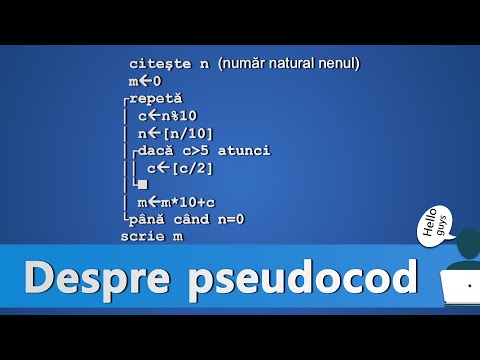 Despre pseudocod in C++ (+ probleme rezolvate)