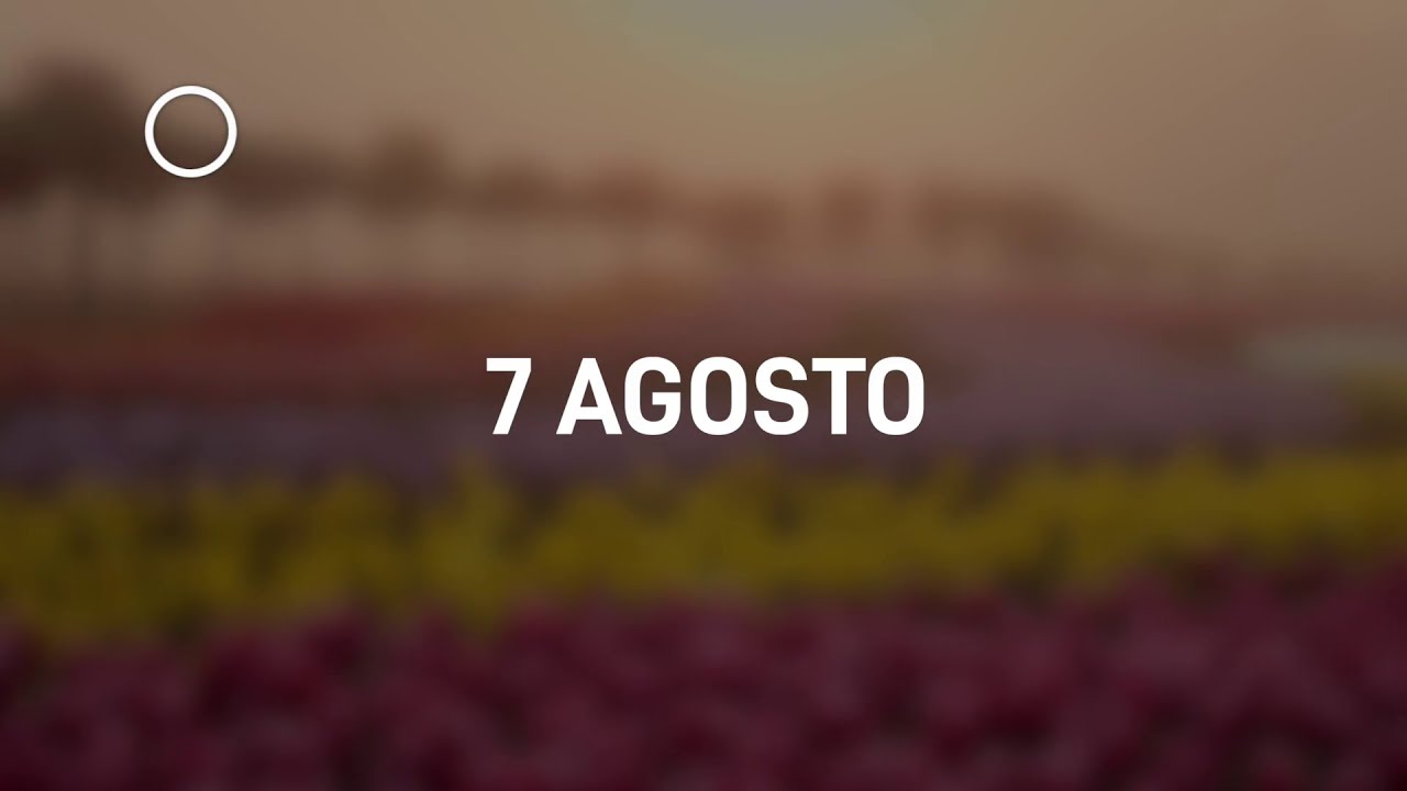 07 Agosto 2024 | Meditazione Parole di Vita