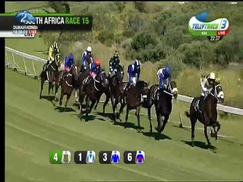 2018.12.15 Cape Guineas (RSA) - Soqrat