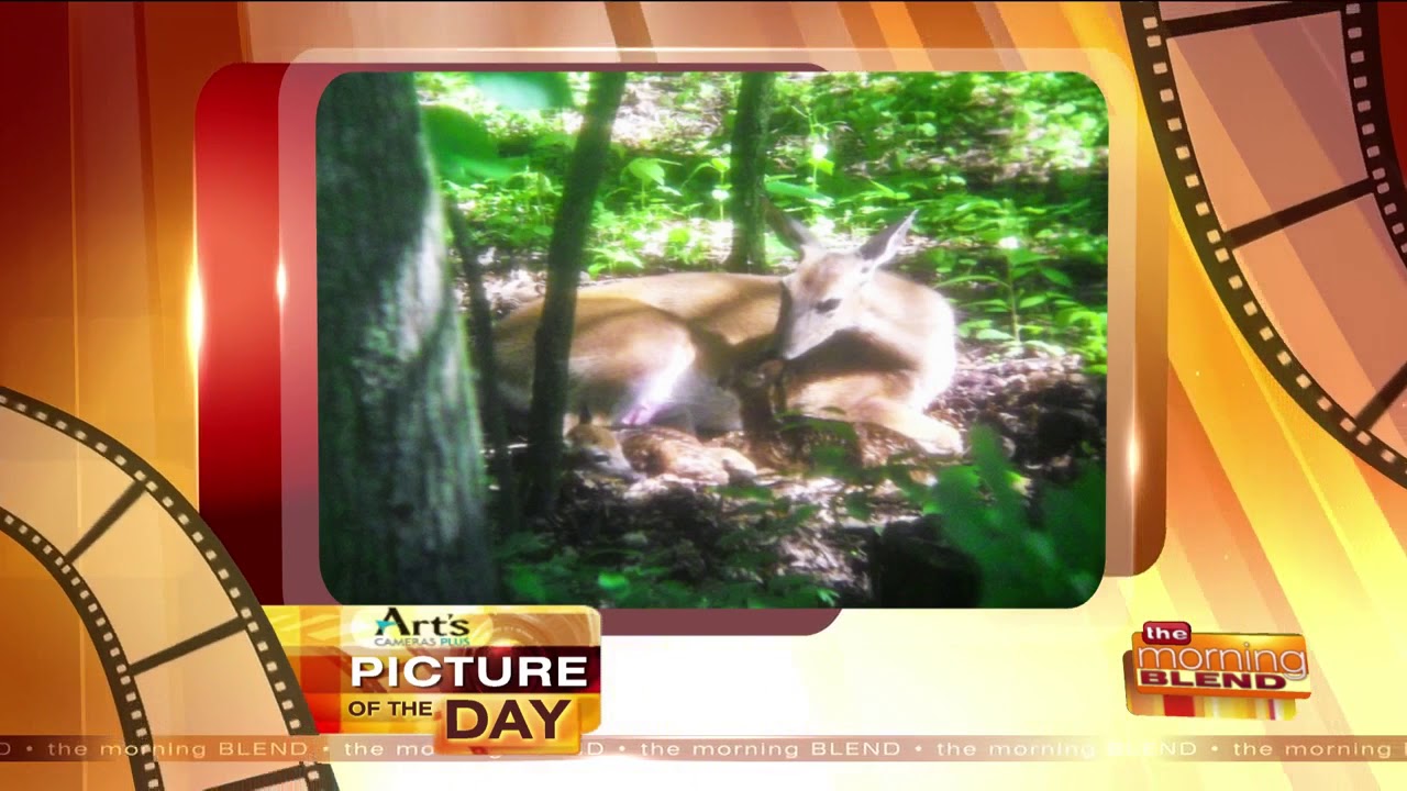 Art's Cameras Plus Picture of the Day for June 18