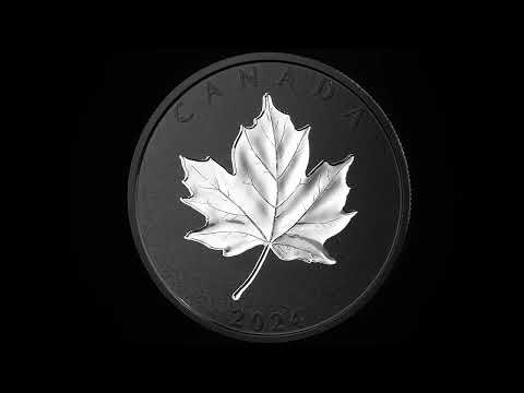 5 oz. Pure Silver Coin with Black Rhodium Plating – Maple Leaves in Motion – Mintage: 2,000 (2024)