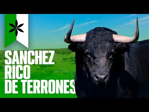 GANADERIA SANCHEZ RICO DE TERRONES I TOROS 2023 🐂