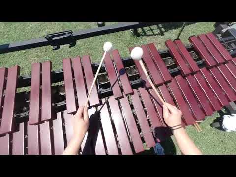 BDB Inner Marimba Cam 2019 - Diana Poplacenel