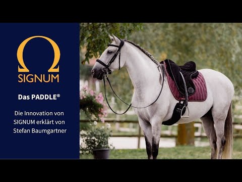 Das PADDLE® -  Die Innovation von SIGNUM