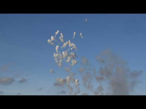 Adelfia 2017, Ditta Bruscella