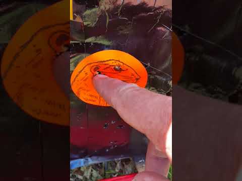 Umarex Fuel .22 break barrel pellet rifle.  Shooting at 11 and 15 yards