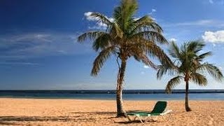 Relaxing Spa Music 1+ hours  - Sunny Tropical Beach relax and listen to nature sounds of sunny beach