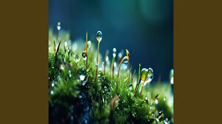 Download lagu manusia yang ku puja mp3