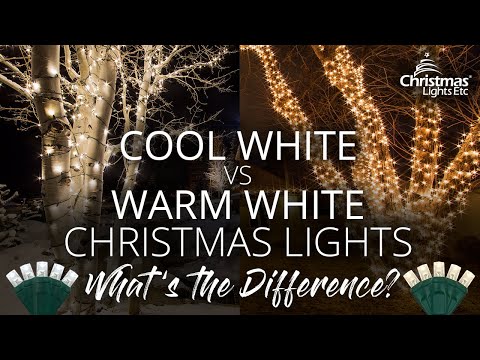 Cool White vs. Warm White Christmas Lights: Know the Difference