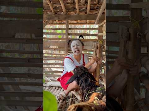 Bego makan rumput kaya kambing