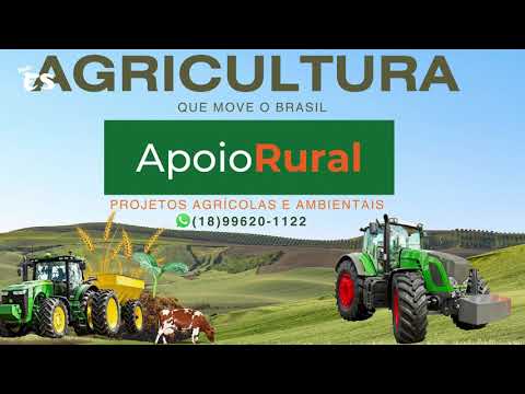 FUTSAL DE FÉRIAS 2026