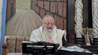 המעלה המופלאה של החיילים |הרב שמואל אליהו | הלכה יומית | י"ב תשרי תשפ"ה (הרב שמואל אליהו) - התמונה מוצגת ישירות מתוך אתר האינטרנט יוטיוב. זכויות היוצרים בתמונה שייכות ליוצרה. קישור קרדיט למקור התוכן נמצא בתוך דף הסרטון