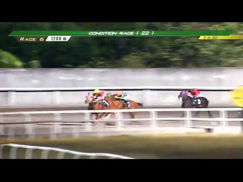 PRCI Race 6 - March 6,2020