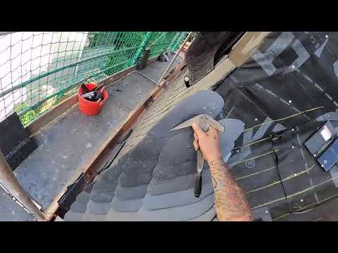 Linke Wangenkehle decken - Live vom Schieferdach in Berlin