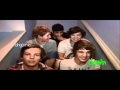 One Direction||Everybody Loves Me 