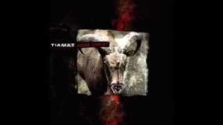 Tiamat - Angel Holograms