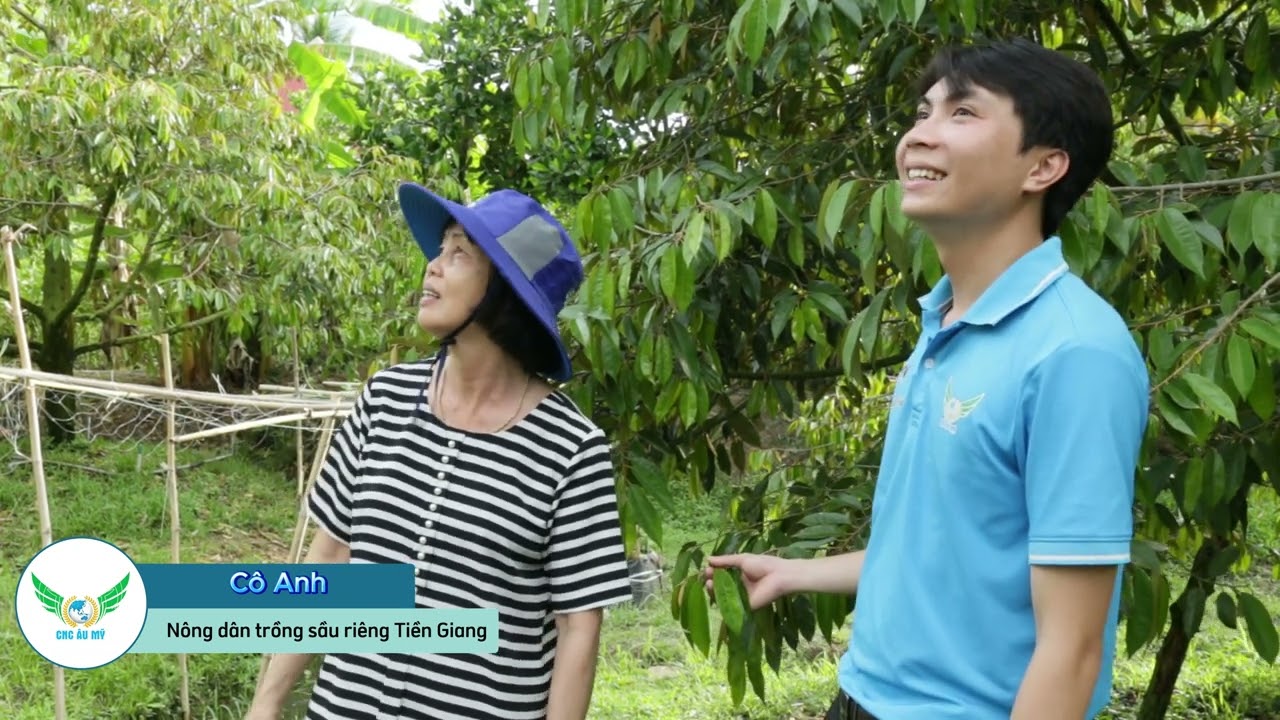 Chinh phục các nông gia trồng sầu riêng