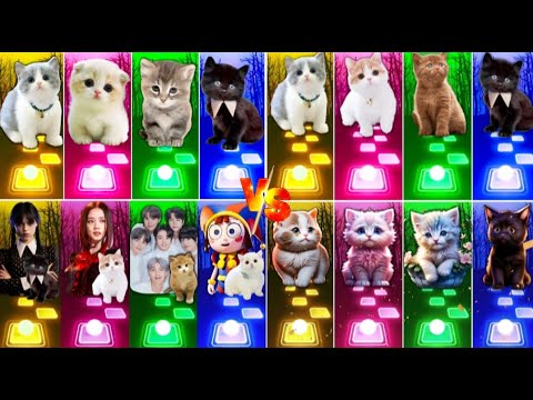 📹 ALL CUTE CATS PT.5 - IMAGINE DRAGONS ENEMY - JISOO FLOWER   SHAKIRA WAKA WAKA - LISA MONEY