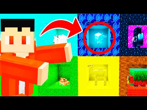 I Caught ALL The Mobs In Minecraft 1.20!