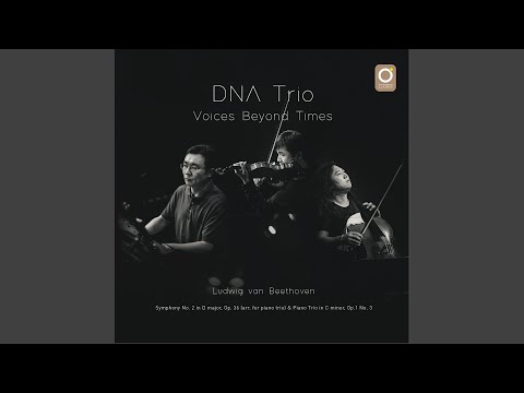 Piano Trio in C Minor, Op. 1 No. 3: I. Allegro con brio